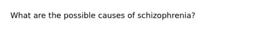 What are the possible causes of schizophrenia?