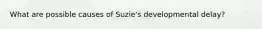 What are possible causes of Suzie's developmental delay?