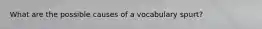 What are the possible causes of a vocabulary spurt?