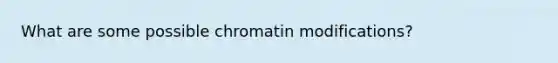 What are some possible chromatin modifications?