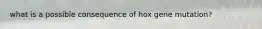 what is a possible consequence of hox gene mutation?