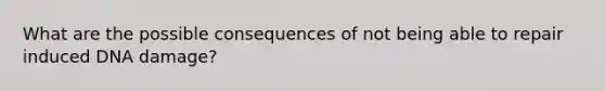 What are the possible consequences of not being able to repair induced DNA damage?