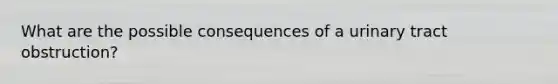 What are the possible consequences of a urinary tract obstruction?