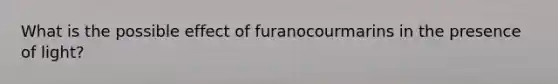 What is the possible effect of furanocourmarins in the presence of light?