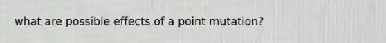 what are possible effects of a point mutation?