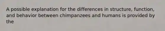 A possible explanation for the differences in structure, function, and behavior between chimpanzees and humans is provided by the