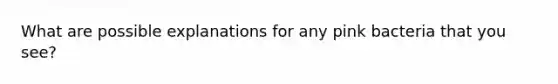 What are possible explanations for any pink bacteria that you see?