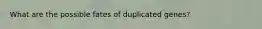 What are the possible fates of duplicated genes?