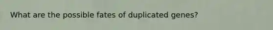 What are the possible fates of duplicated genes?