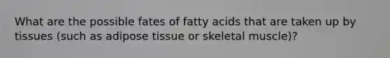 What are the possible fates of fatty acids that are taken up by tissues (such as adipose tissue or skeletal muscle)?