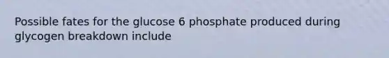 Possible fates for the glucose 6 phosphate produced during glycogen breakdown include