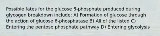 Possible fates for the glucose 6-phosphate produced during glycogen breakdown include: A) Formation of glucose through the action of glucose 6-phosphatase B) All of the listed C) Entering the pentose phosphate pathway D) Entering glycolysis