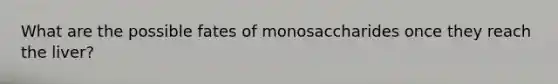 What are the possible fates of monosaccharides once they reach the liver?