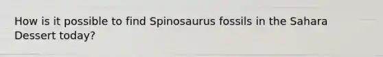 How is it possible to find Spinosaurus fossils in the Sahara Dessert today?