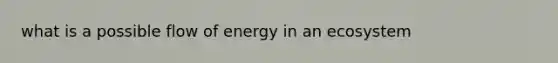 what is a possible flow of energy in an ecosystem