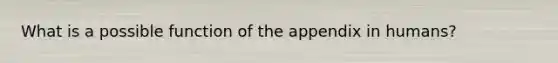 What is a possible function of the appendix in humans?