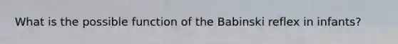 What is the possible function of the Babinski reflex in infants?
