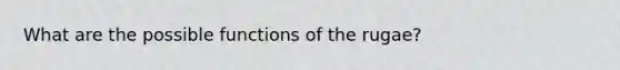 What are the possible functions of the rugae?