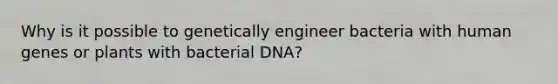 Why is it possible to genetically engineer bacteria with human genes or plants with bacterial DNA?