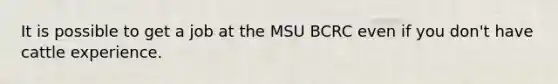 It is possible to get a job at the MSU BCRC even if you don't have cattle experience.