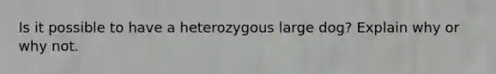 Is it possible to have a heterozygous large dog? Explain why or why not.