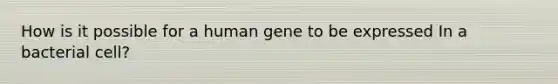 How is it possible for a human gene to be expressed In a bacterial cell?