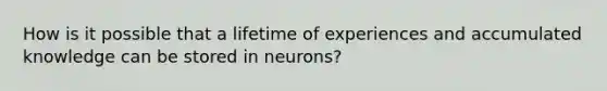 How is it possible that a lifetime of experiences and accumulated knowledge can be stored in neurons?