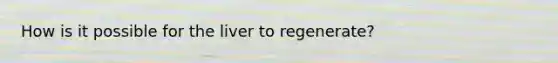 How is it possible for the liver to regenerate?