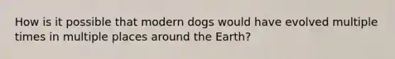 How is it possible that modern dogs would have evolved multiple times in multiple places around the Earth?