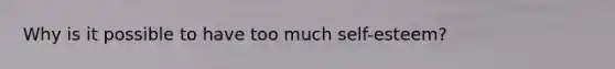 Why is it possible to have too much self-esteem?