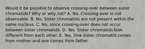 Would it be possible to observe crossing-over between sister chromatids? Why or why not? A. No. Crossing-over is not observable. B. No. Sister chromatids are not present within the same nucleus. C. No, since crossing-over does not occur between sister chromatids. D. Yes. Sister chromatids look different from each other. E. Yes. One sister chromatid comes from mother and one comes from father