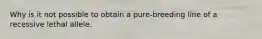 Why is it not possible to obtain a pure-breeding line of a recessive lethal allele.