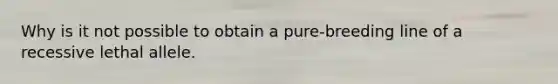 Why is it not possible to obtain a pure-breeding line of a recessive lethal allele.