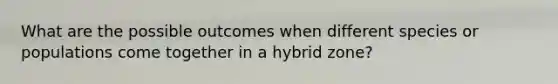 What are the possible outcomes when different species or populations come together in a hybrid zone?