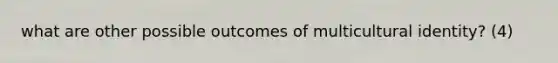 what are other possible outcomes of multicultural identity? (4)