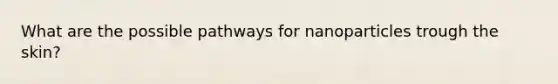 What are the possible pathways for nanoparticles trough the skin?