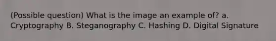 (Possible question) What is the image an example of? a. Cryptography B. Steganography C. Hashing D. Digital Signature