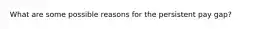 What are some possible reasons for the persistent pay gap?