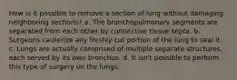 How is it possible to remove a section of lung without damaging neighboring sections? a. The bronchopulmonary segments are separated from each other by connective tissue septa. b. Surgeons cauterize any freshly cut portion of the lung to seal it. c. Lungs are actually comprised of multiple separate structures, each served by its own bronchus. d. It isn't possible to perform this type of surgery on the lungs.