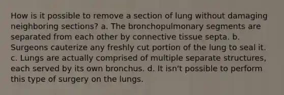 How is it possible to remove a section of lung without damaging neighboring sections? a. The bronchopulmonary segments are separated from each other by connective tissue septa. b. Surgeons cauterize any freshly cut portion of the lung to seal it. c. Lungs are actually comprised of multiple separate structures, each served by its own bronchus. d. It isn't possible to perform this type of surgery on the lungs.