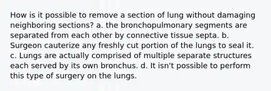 How is it possible to remove a section of lung without damaging neighboring sections? a. the bronchopulmonary segments are separated from each other by connective tissue septa. b. Surgeon cauterize any freshly cut portion of the lungs to seal it. c. Lungs are actually comprised of multiple separate structures each served by its own bronchus. d. It isn't possible to perform this type of surgery on the lungs.