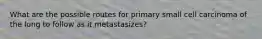 What are the possible routes for primary small cell carcinoma of the lung to follow as it metastasizes?