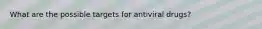 What are the possible targets for antiviral drugs?