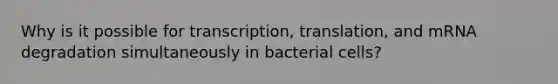 Why is it possible for transcription, translation, and mRNA degradation simultaneously in bacterial cells?