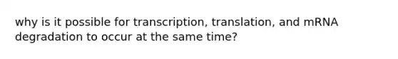 why is it possible for transcription, translation, and mRNA degradation to occur at the same time?