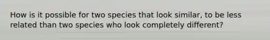 How is it possible for two species that look similar, to be less related than two species who look completely different?