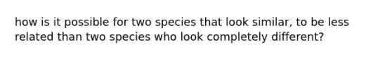 how is it possible for two species that look similar, to be less related than two species who look completely different?