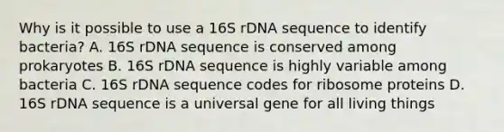 Why is it possible to use a 16S rDNA sequence to identify bacteria? A. 16S rDNA sequence is conserved among prokaryotes B. 16S rDNA sequence is highly variable among bacteria C. 16S rDNA sequence codes for ribosome proteins D. 16S rDNA sequence is a universal gene for all living things