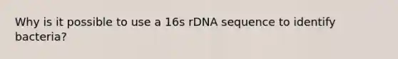 Why is it possible to use a 16s rDNA sequence to identify bacteria?