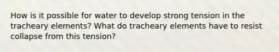 How is it possible for water to develop strong tension in the tracheary elements? What do tracheary elements have to resist collapse from this tension?